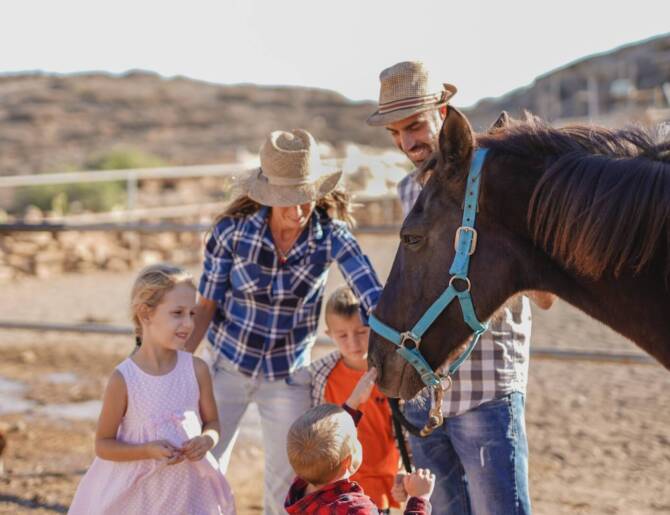 Family, parents and children enjoy day at horse ranch - Focus on the horse